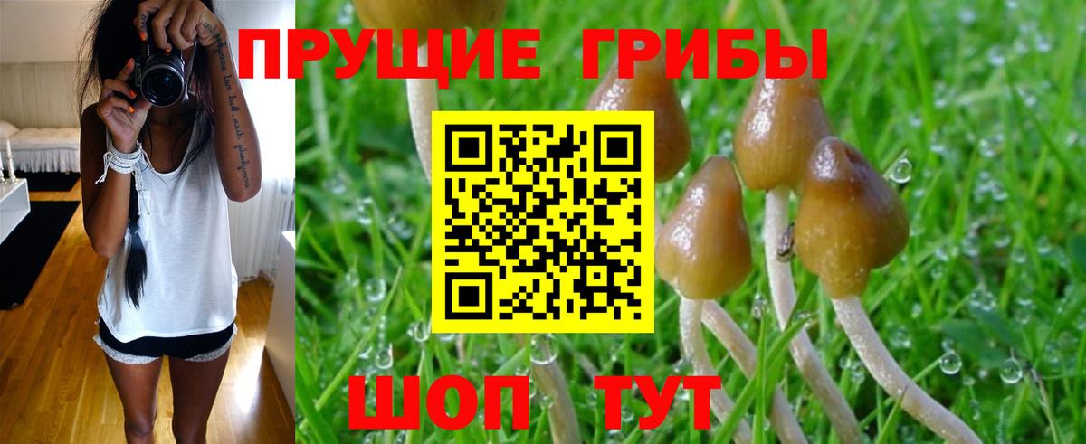 Псилоцибиновые грибы MAGIC MUSHROOMS Березники